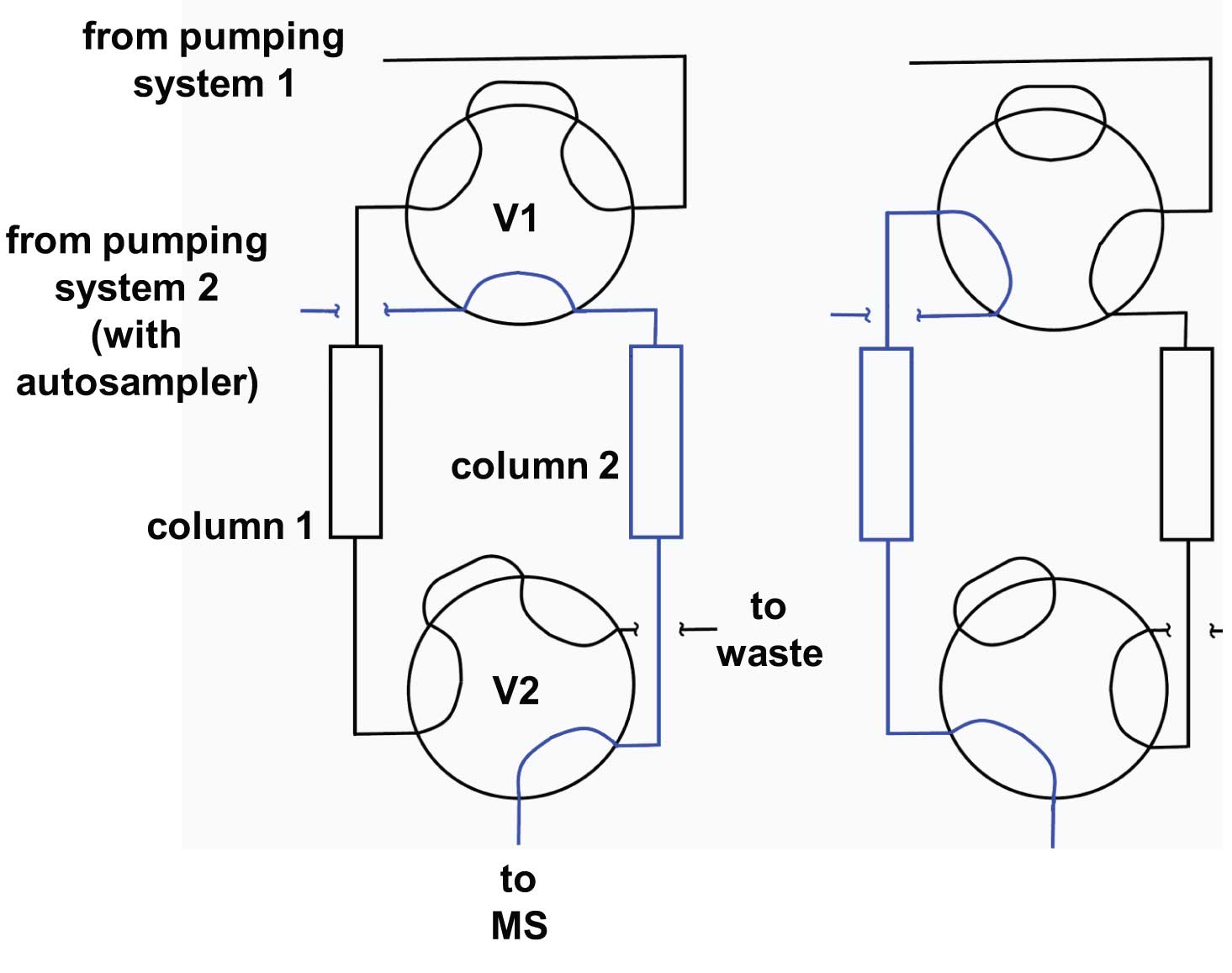 MS Column Switching